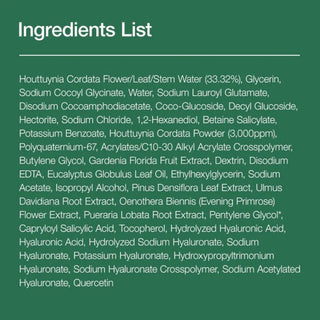 Heartleaf Quercetinol Pore Deep Cleansing Foam