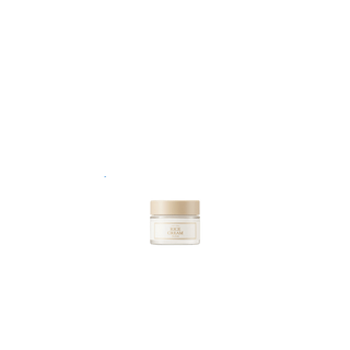 Rice Cream