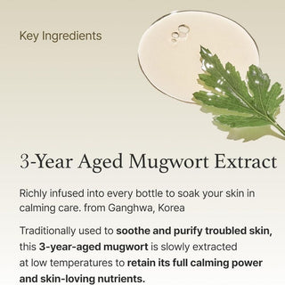 Mugwort Essence
